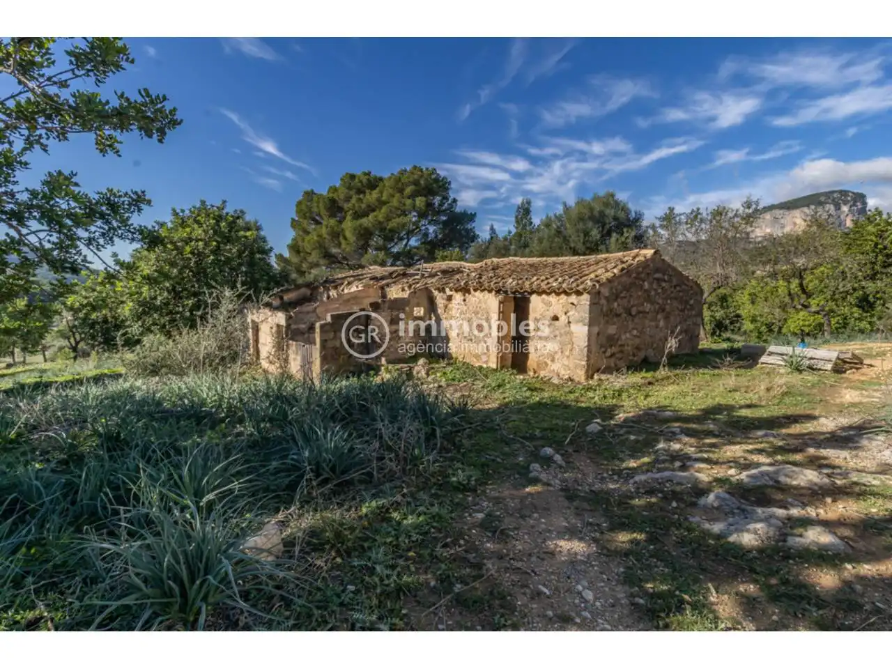 Terreny rústic en venda a Alaró, imagen 12