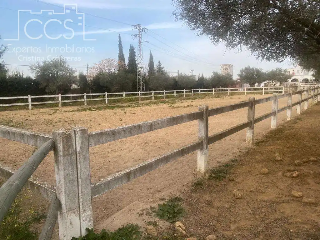 Vista exterior de Finca rústica en venta en Alcalá de Guadaira con Piscina y Amueblado
