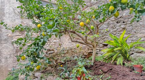 Foto 4 de Casa o chalet en venta en La Vall de Laguar, Alicante