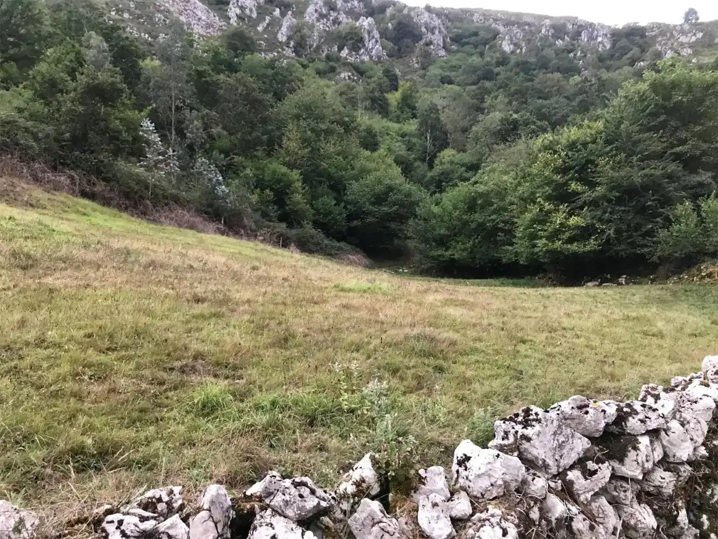 Finca rústica en venda en Piloña