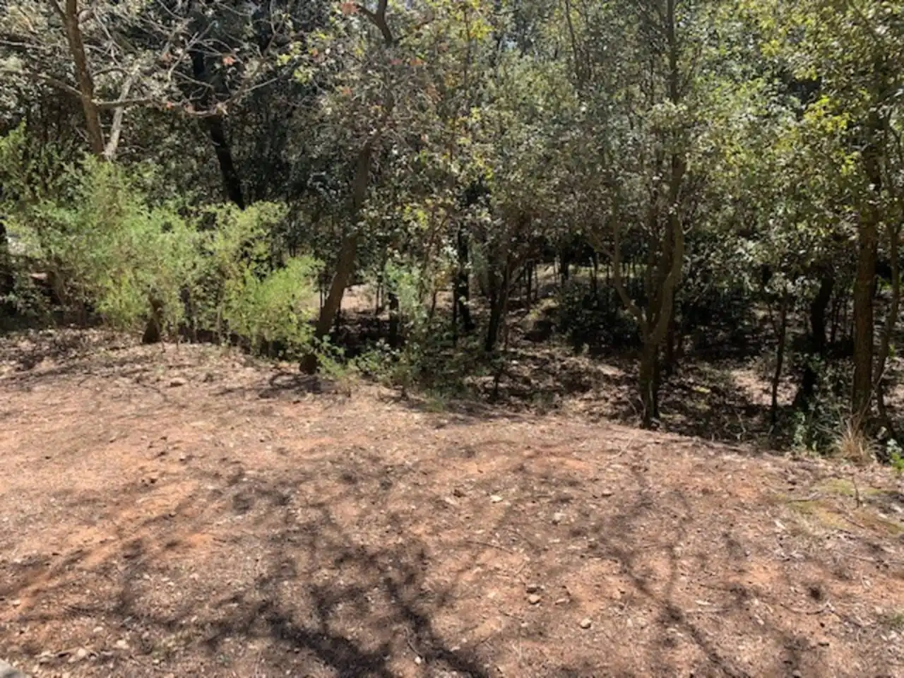 Rural land for sale in Calle de la serra del gall, imagen 9