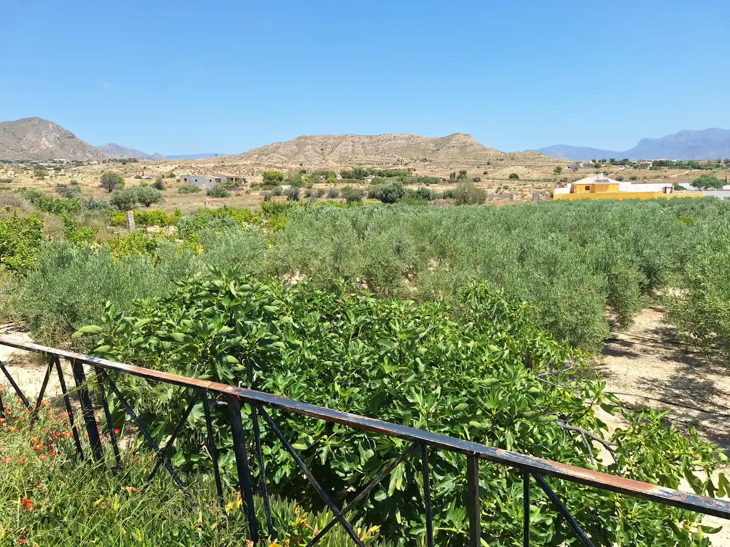Casa o xalet en venda en Alicante / Alacant amb Jardí privat, Terrassa i Traster