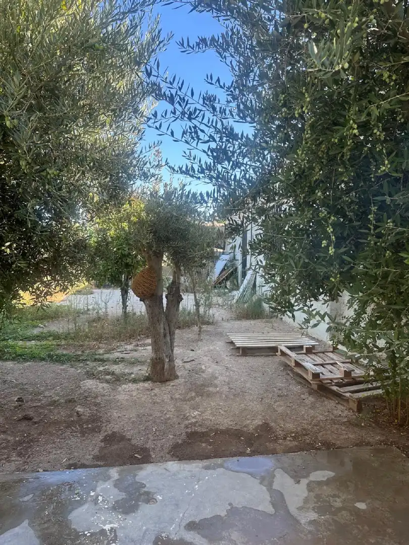 Landhaus mit Garten zur Miete in Partida Altabix 1105, imagen 4