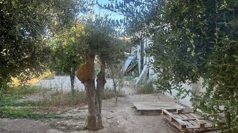 Foto 4 de Finca rústica de lloguer a Partida Altabix, 1105, Jubalcoi, Elche / Elx