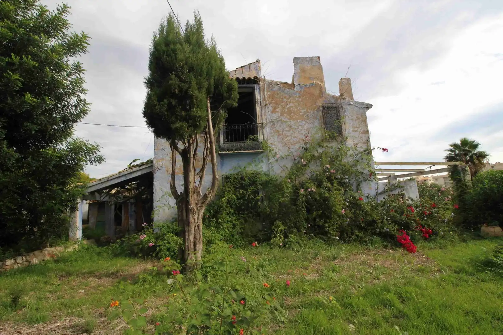 Terreny rústic en venda a L'Olla, imagen 24