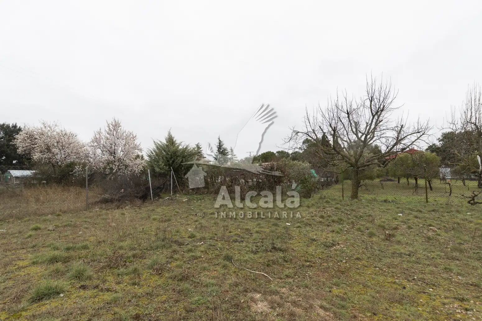 Terreno residencial en venta en Pioz, imagen 16