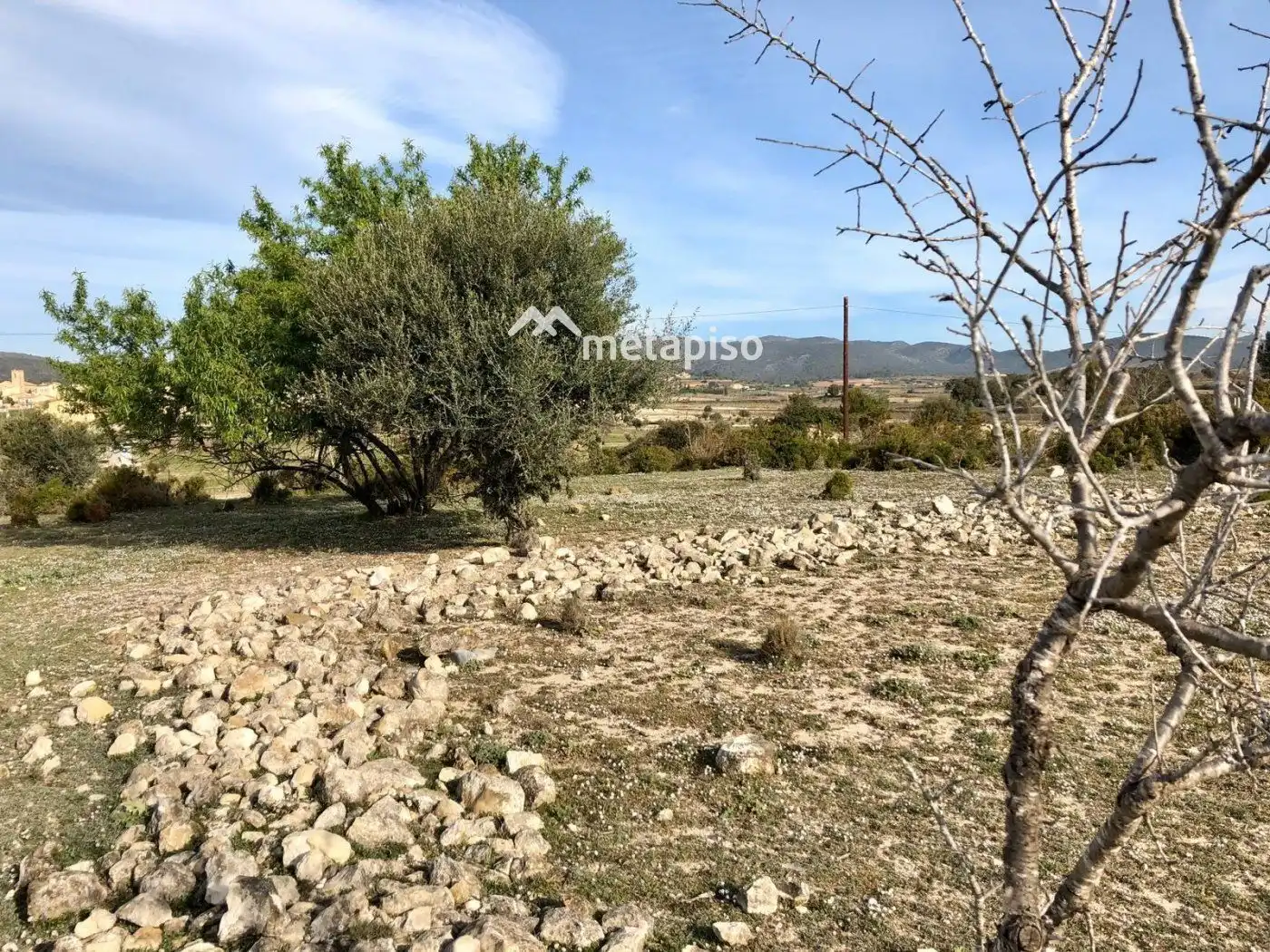 Terreno rustico in vendita a Sant Jaume dels Domenys, imagen 6