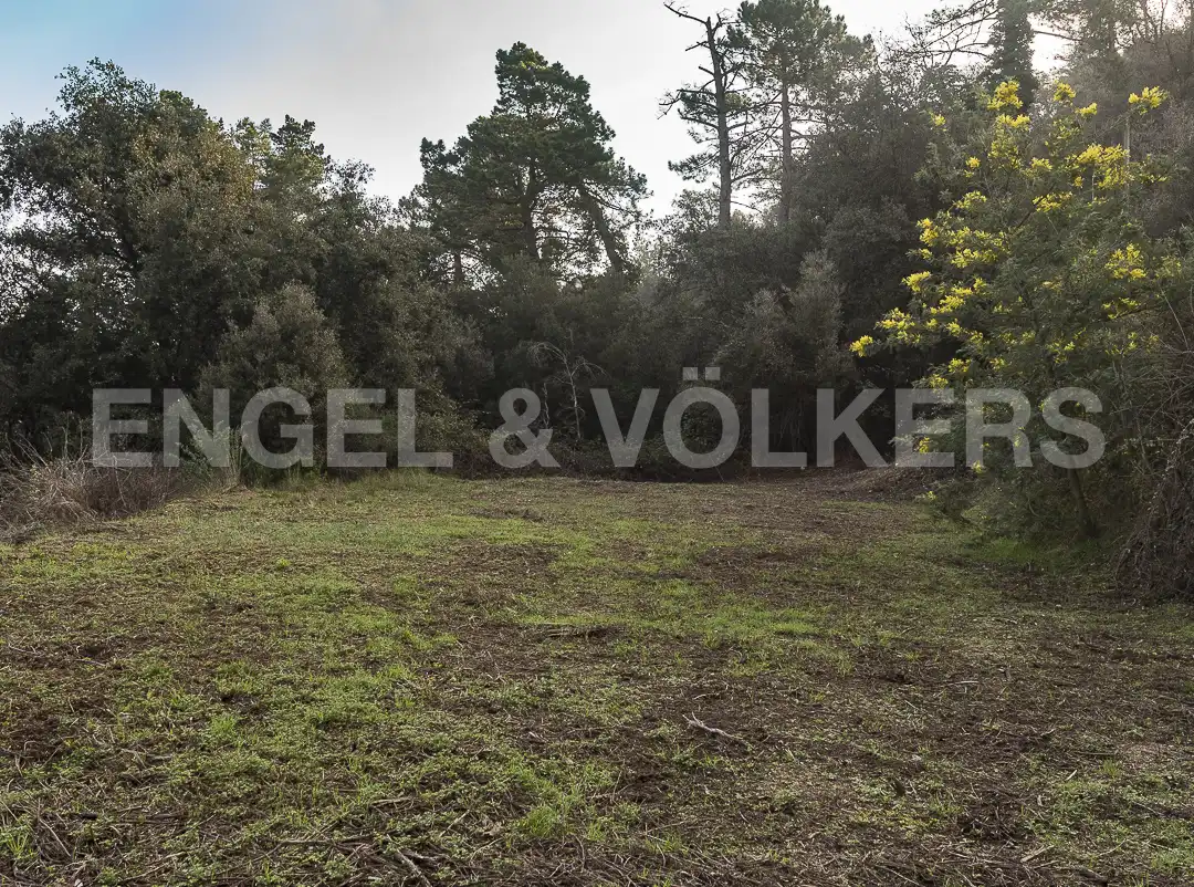 Terreno residencial en venta en Vallgorguina, imagen 5