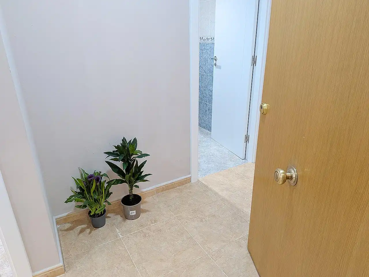 Planta baixa en venda en Ulldecona amb Terrassa