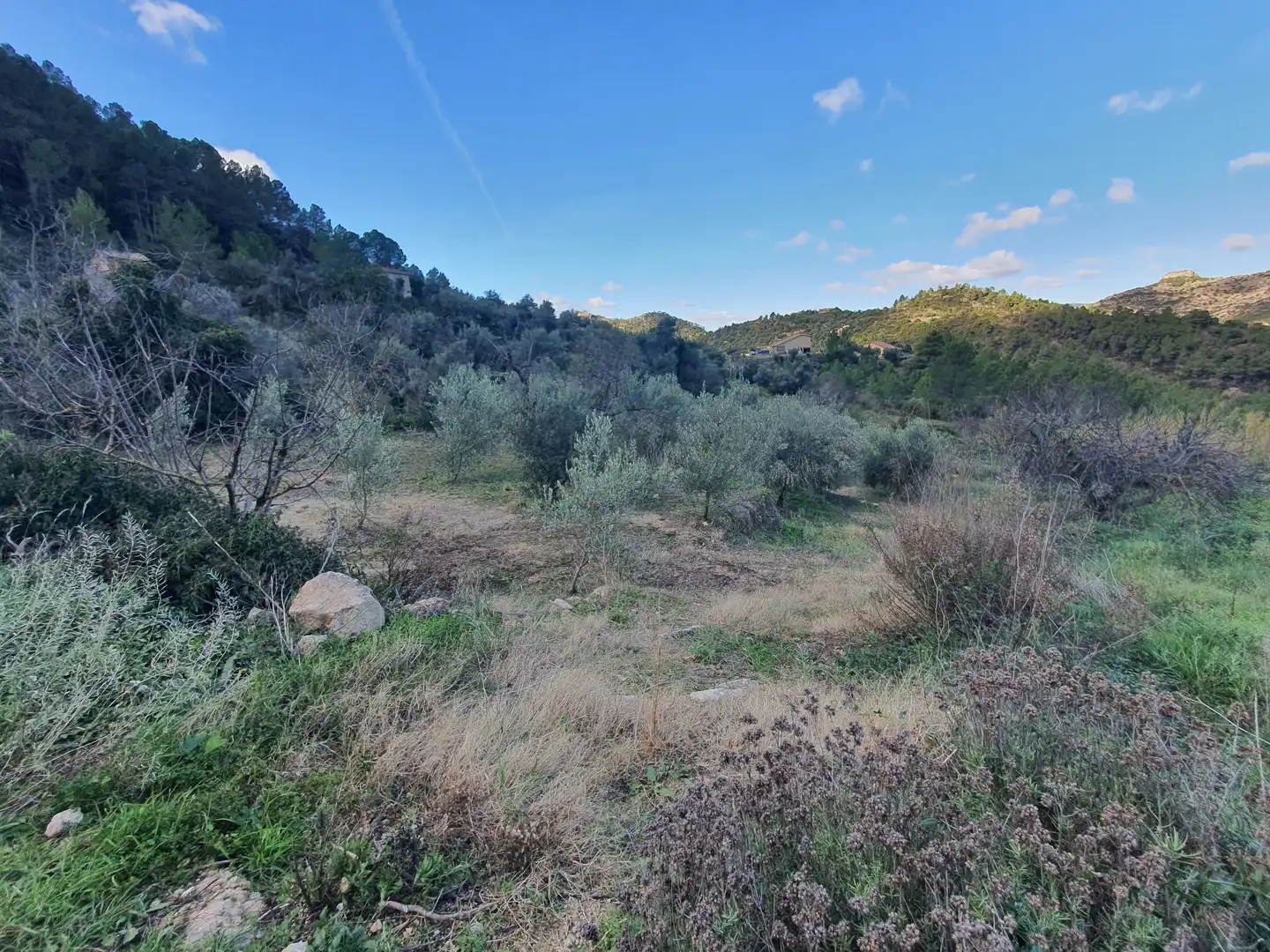Casa en venta en Benifallet, imagen 46
