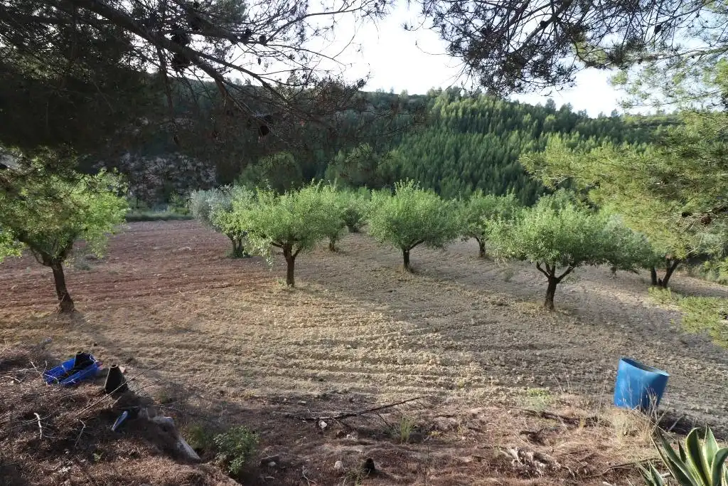 Finca rústica en venda en Buñol amb Jardí privat, Terrassa i Traster