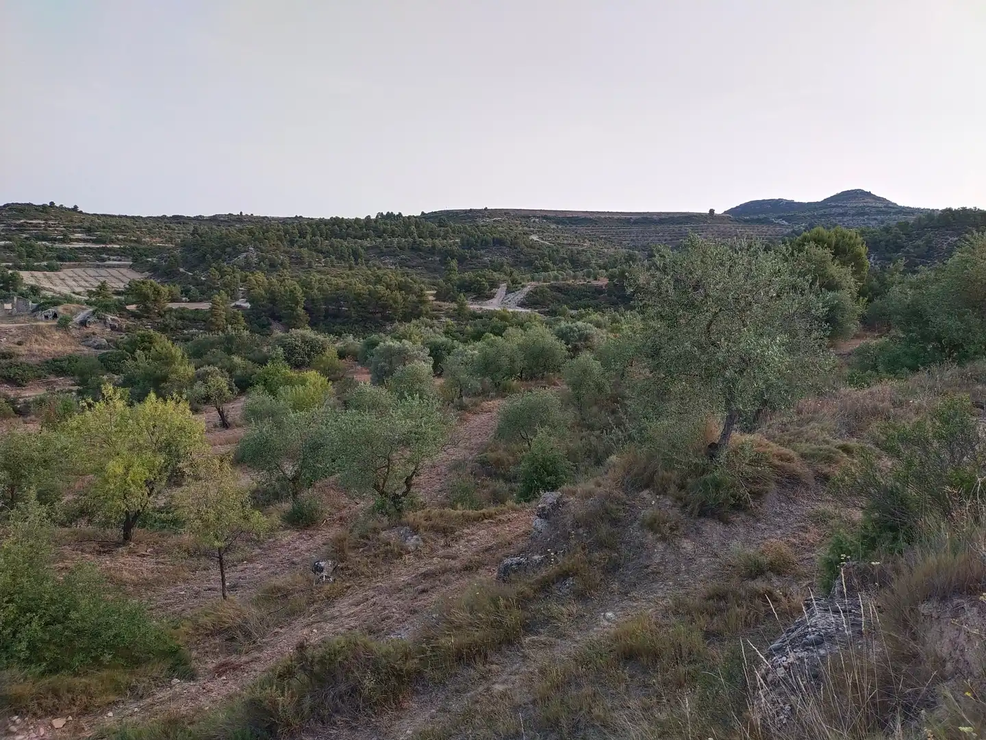 Terreno rústico en venta en Cervià de Les Garrigues, imagen 8