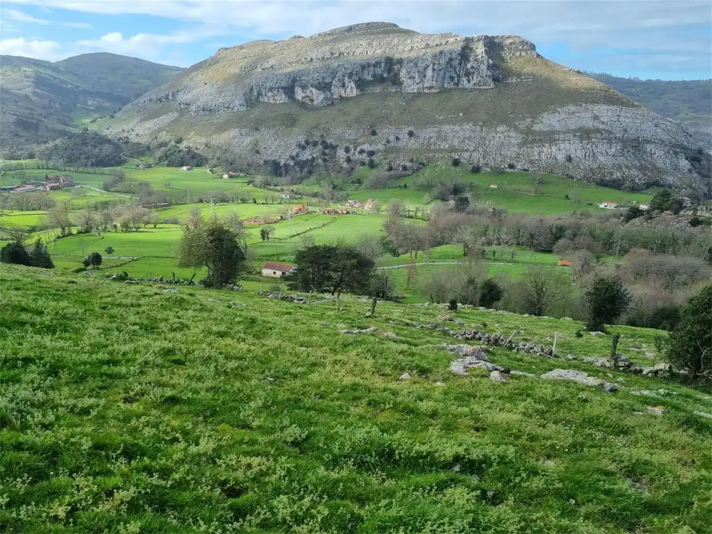 Vista exterior de Finca rústica en venda en Ruesga