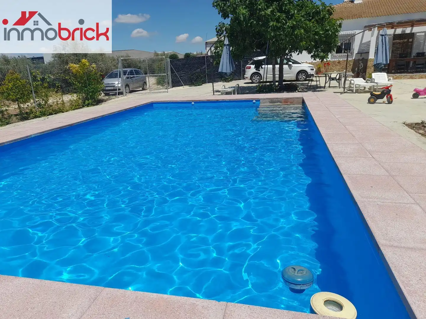 Swimming pool of Houses for rent in Lucena