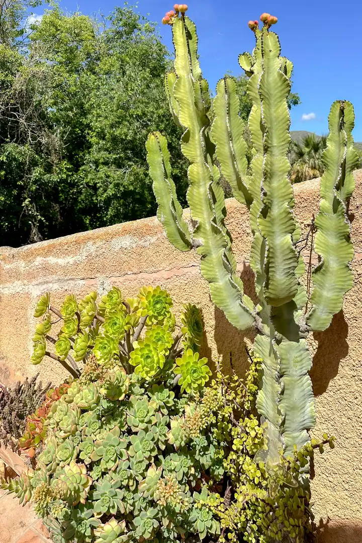 Casa amb terrassa en venda a Capdepera Poble, imagen 5