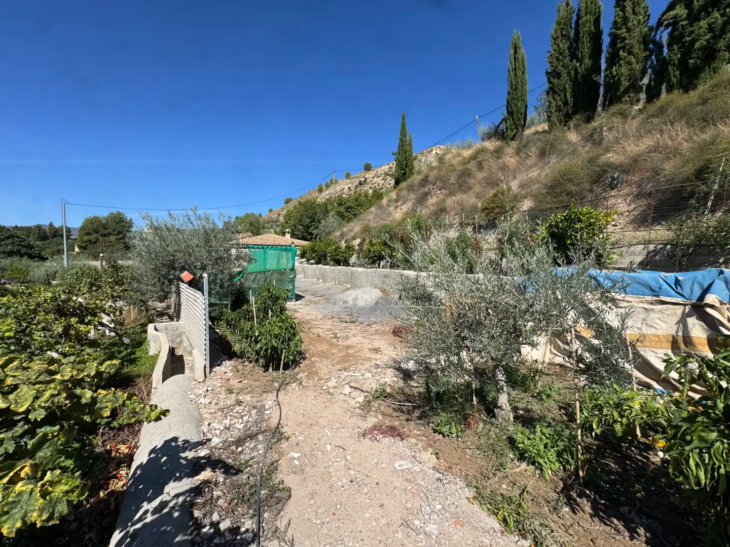 Villa con terrazza in vendita a Carretera de Murcia 13, imagen 17