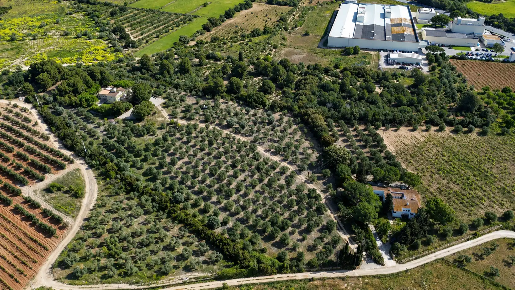 Finca rústica en venta en Santa Oliva con Jardín privado