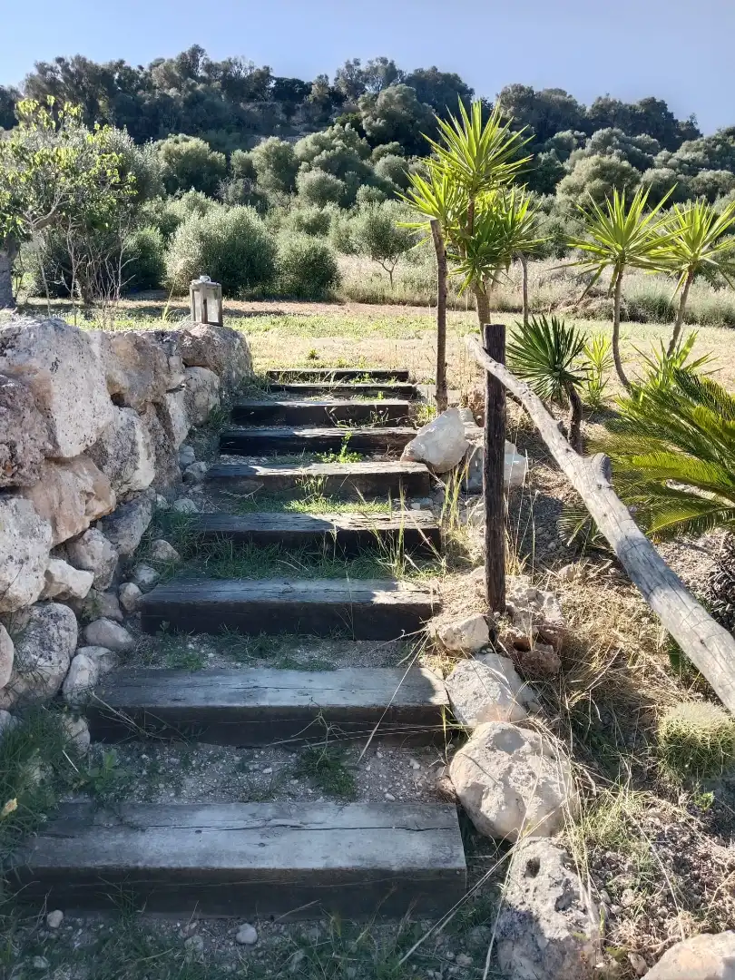 Casa o xalet en venda en Petra amb Jardí privat, Terrassa i Moblat