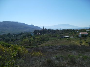 Terreny rústic en venda a Álora