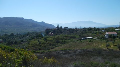FINCA PARCELA EN VENTA EN ALORA