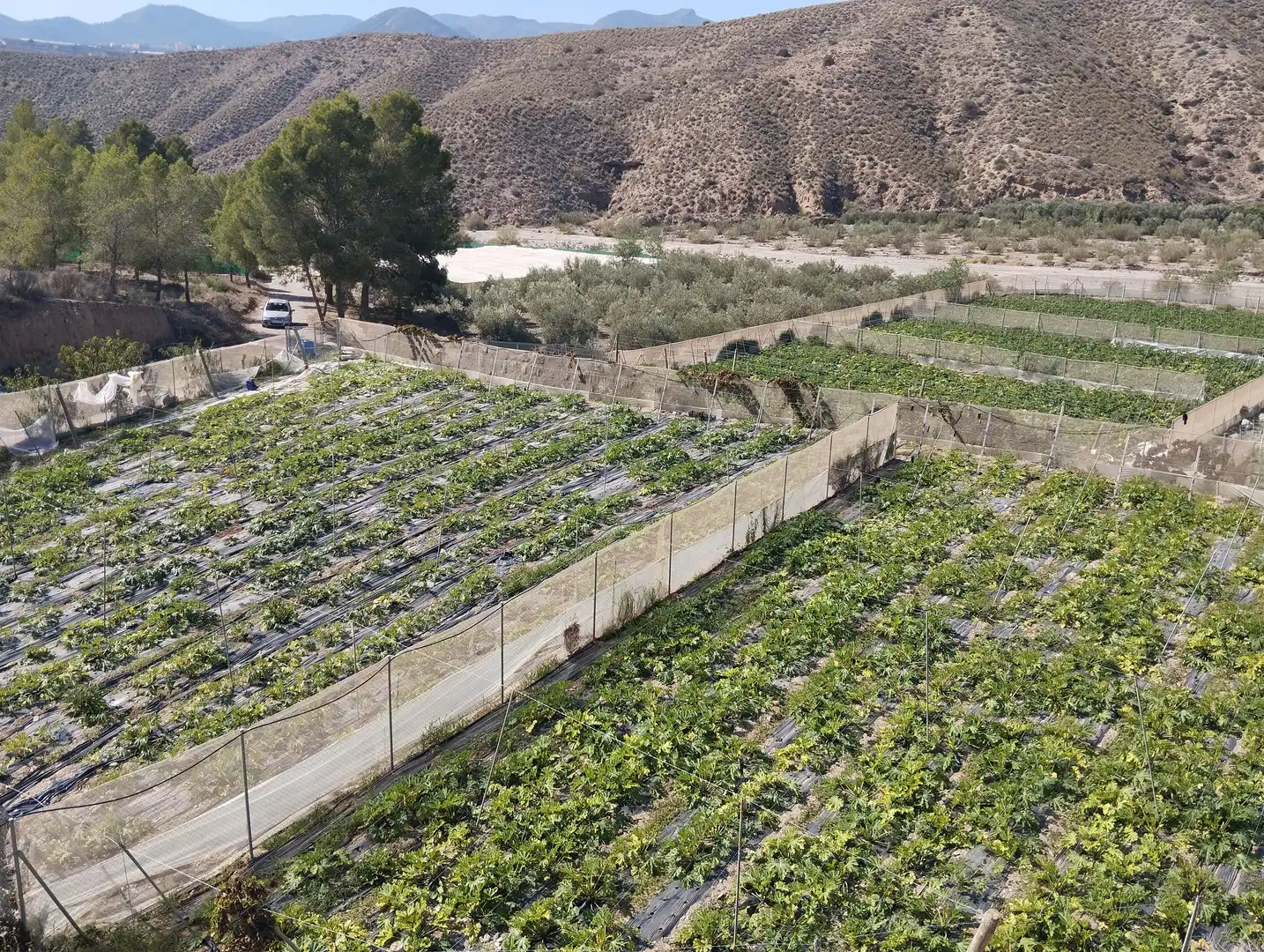 Terreno rustico in vendita a Santa Fe de Mondújar, imagen 8