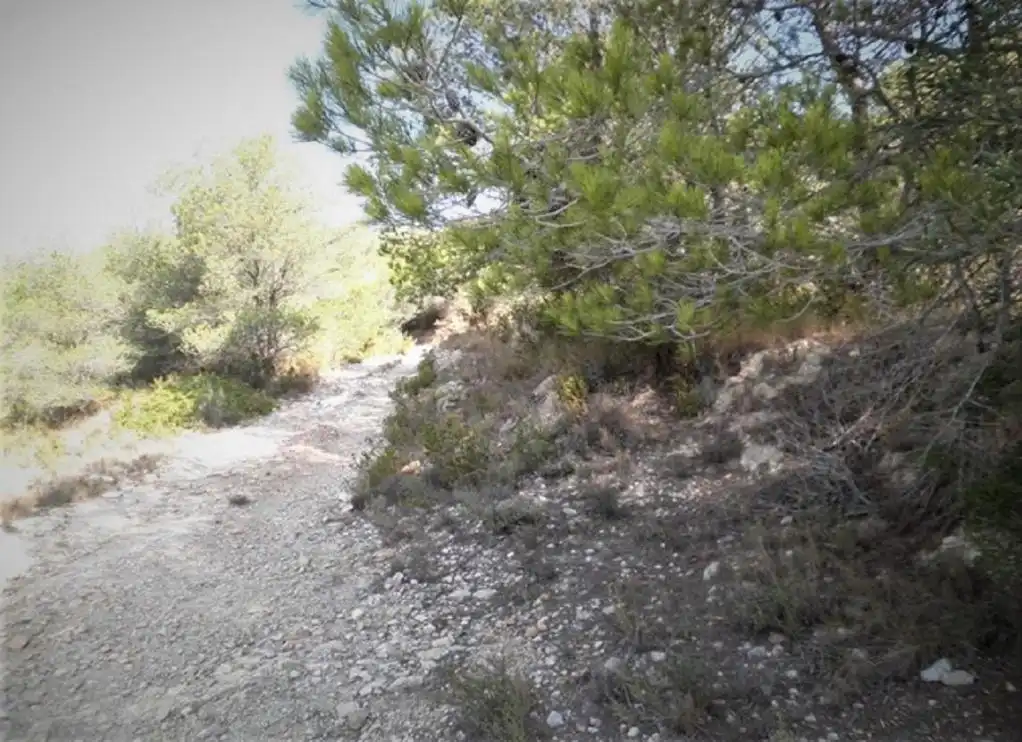 Rustikales Grundstück zum Verkauf in ZONA DISSEMINAT DEL COLL DE LALBA, imagen 13