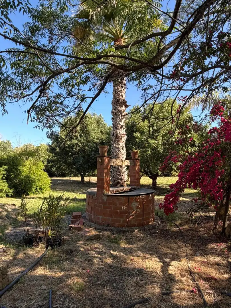 Casa rústica amb piscina en venda a San Martín del Tesorillo, imagen 40