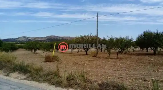 Rural land for sale in Calle de Polígono F 209, imagen 7