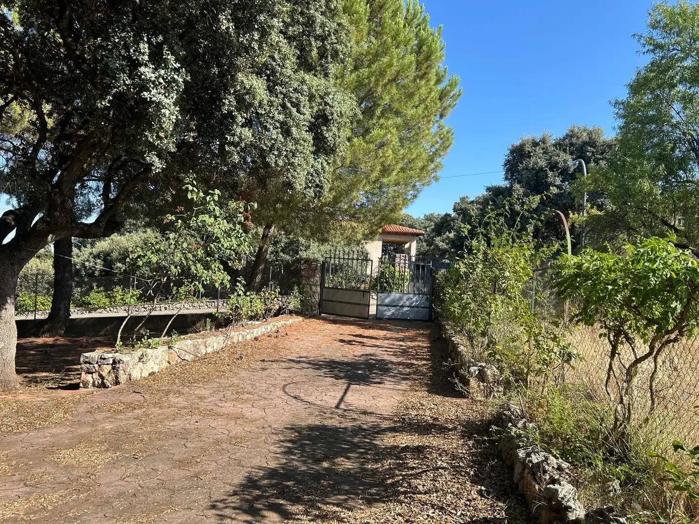 Jardín de Casa o chalet en venta en Hontoba