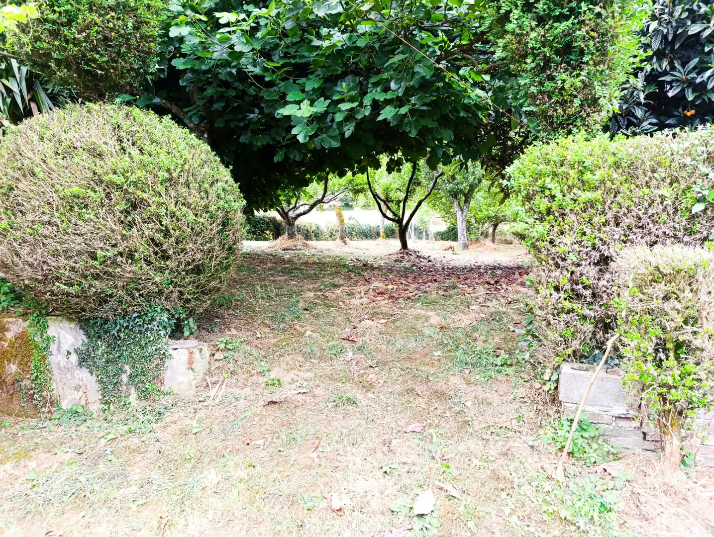 Casa rústica amb jardí en venda a O Saviñao, imagen 2