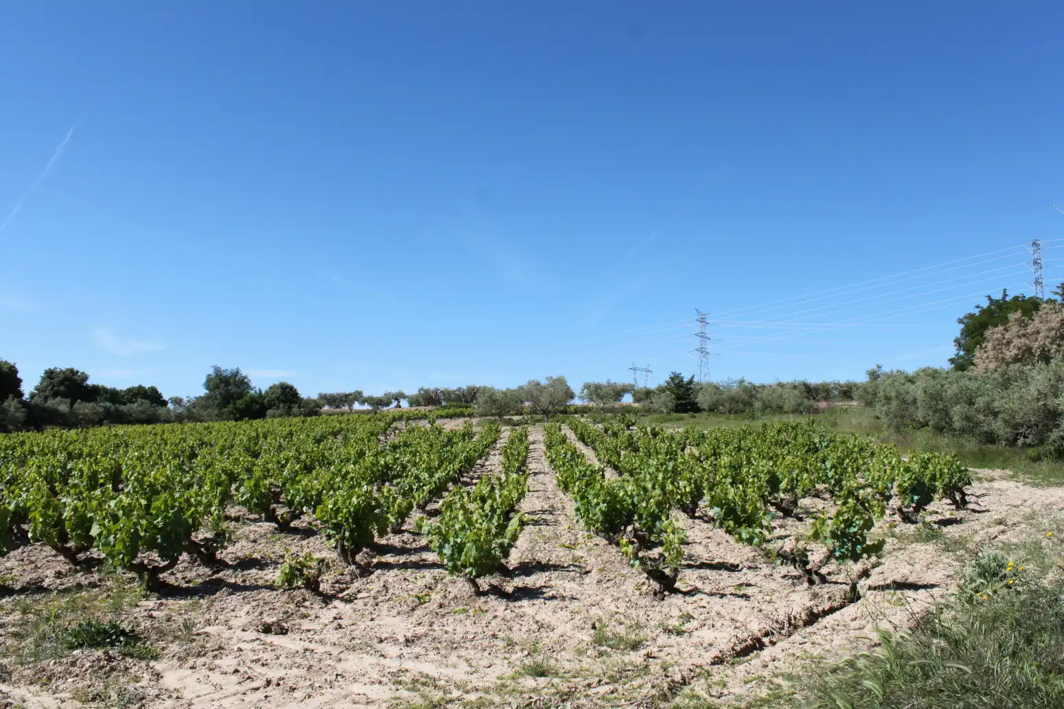 Terreno en venta en Tafalla