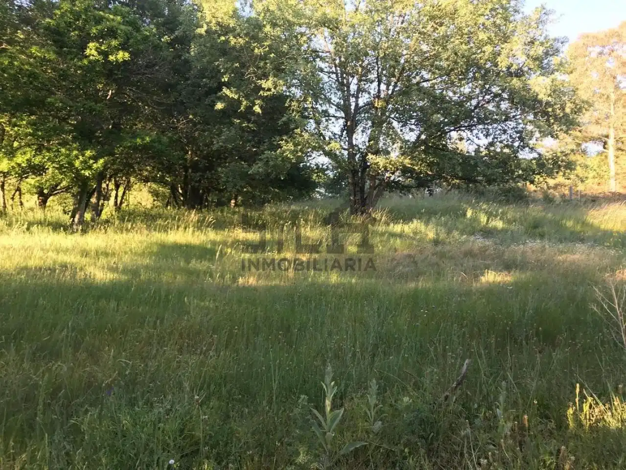 Xalet amb jardí en venda a Maceda, imagen 21