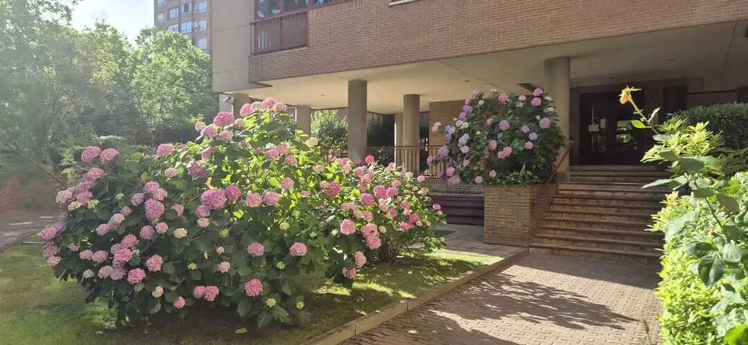 Exterior view of Flat for rent in Madrid  with Air Conditioner, Heating and Private garden