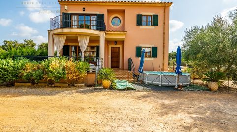 Foto 2 de Finca rústica en venta en Cami Gorrions Pol.9, Sa Pobla, Illes Balears