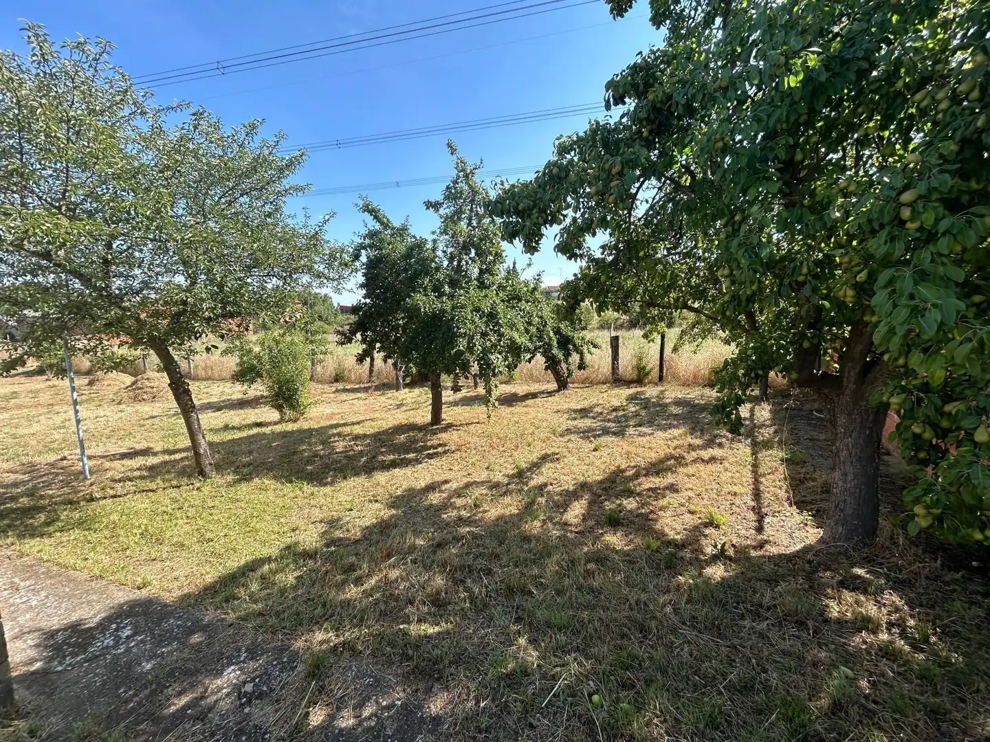 Finca rústica en venta en Benavides