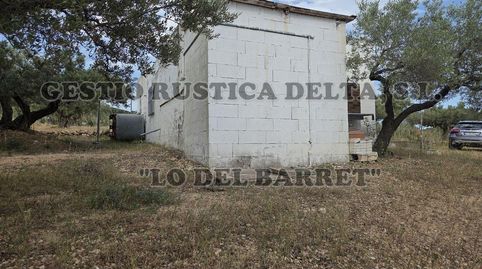 Foto 3 de Finca rústica en venda a Polígono 42, El Perelló, Tarragona