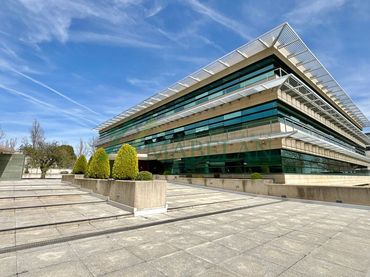 Büro mit Aufzug zur Miete in El Pinar - Punta Galea