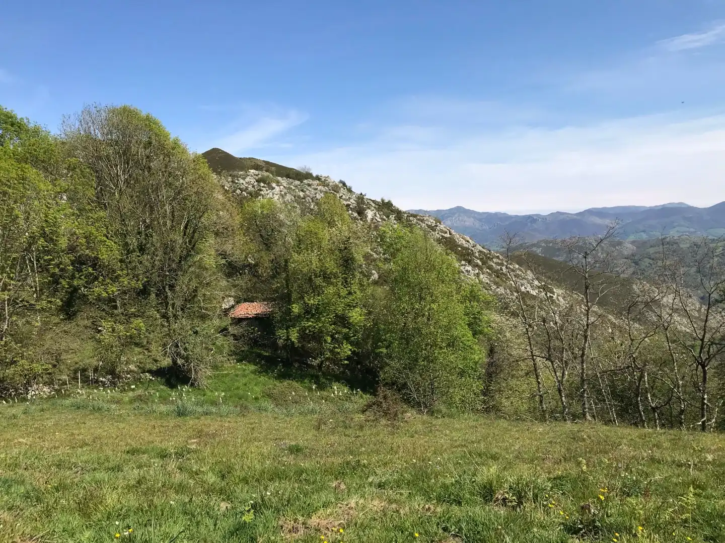 Terreno rustico in vendita a Cangas de Onís