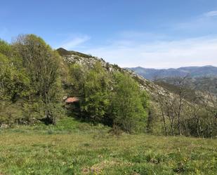 Country house zum verkauf in Cangas de Onís