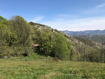 Terreny rústic en venda a Cangas de Onís