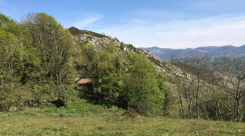 Venta de cuadra de piedra en finca rústica de 18.370 m2 en zona PreParque Nacional