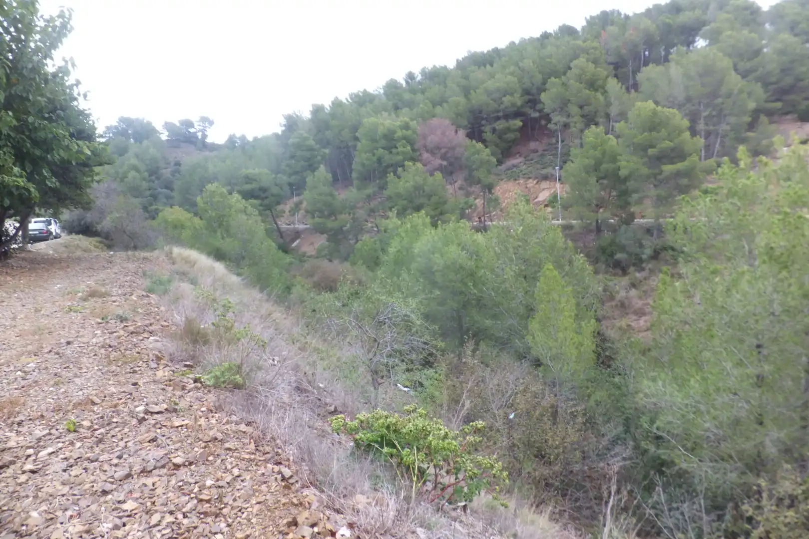Terreno rustico in vendita a Carrer de Catalunya 23, imagen 6