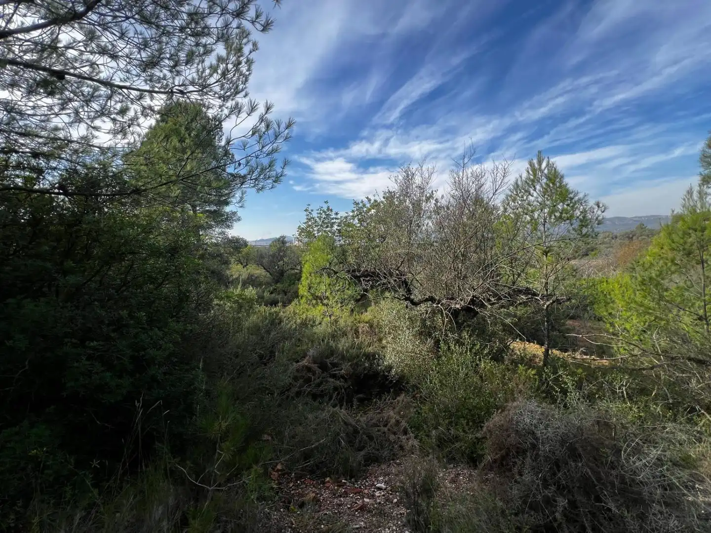Residential for sale in Sant Joan de Moró