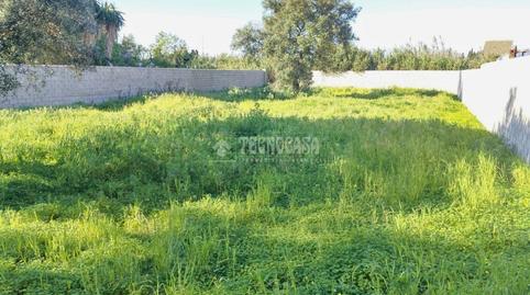 Foto 5 de Terreno en venta en La Soledad, Chiclana de la Frontera