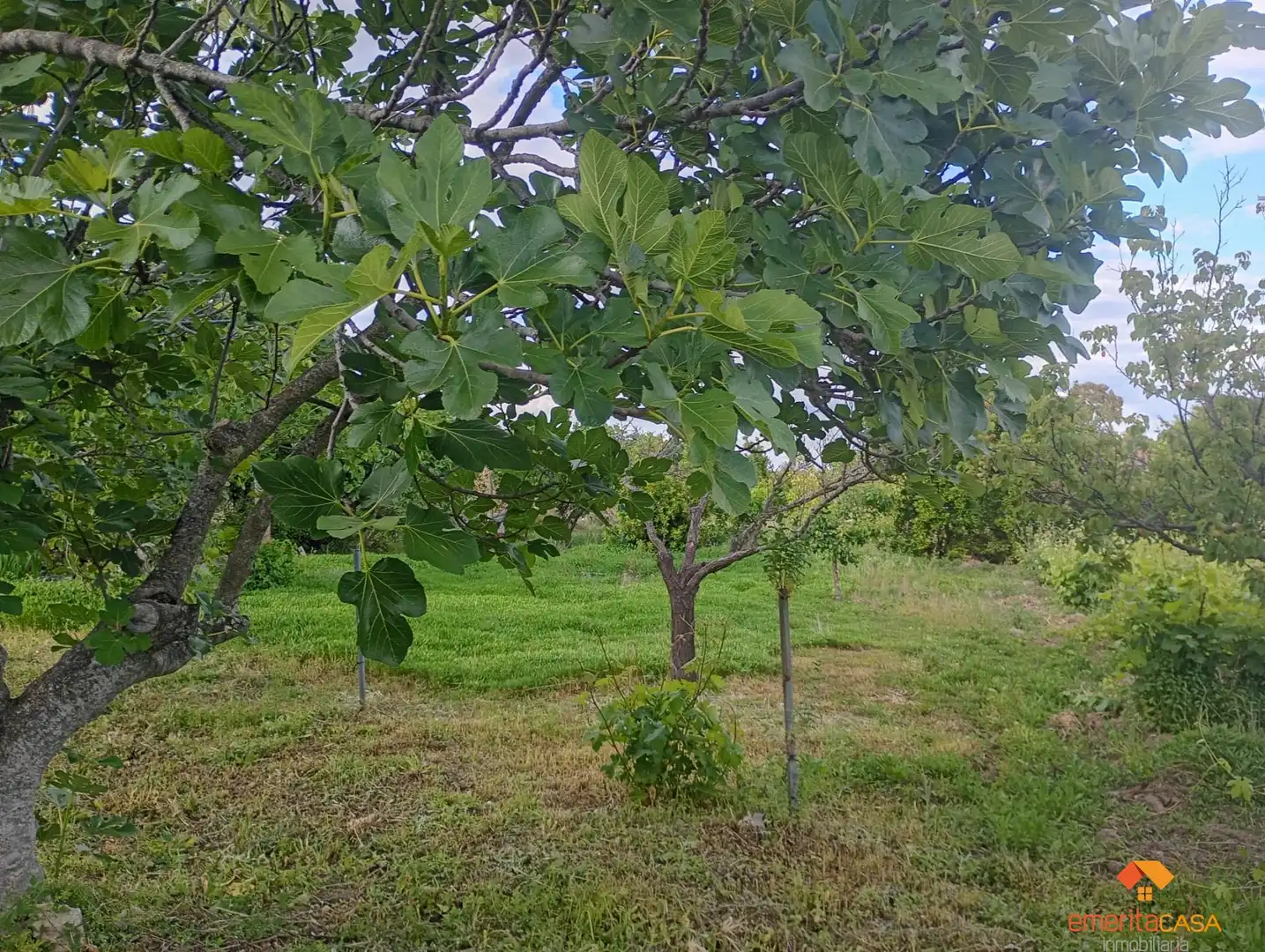 Finca rústica en venta en Cáceres con Aire acondicionado y Piscina