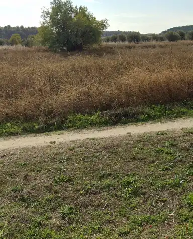 Residencial en venta en Carretera de Circunvalación Sur, Altos del Olivar - El Caracol