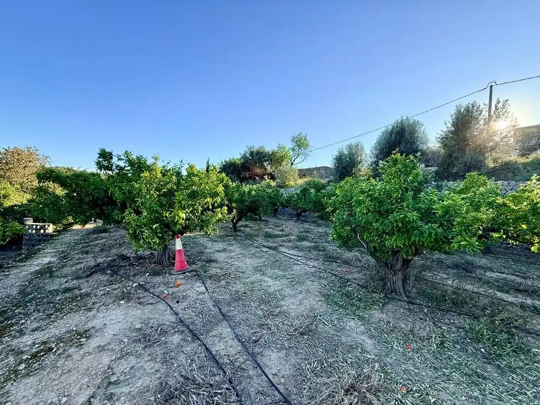 Finca rústica en venda en Sanet y Negrals amb Calefacció i Jardí privat