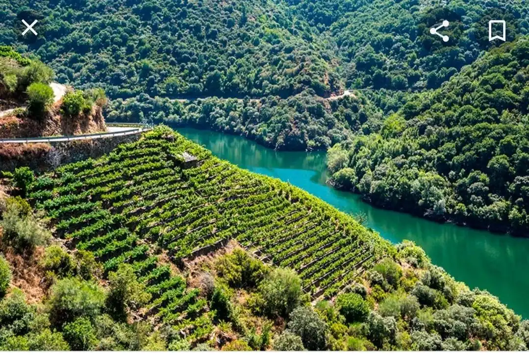 Vista exterior de Finca rústica en venda en Esgos amb Moblat i Balcó