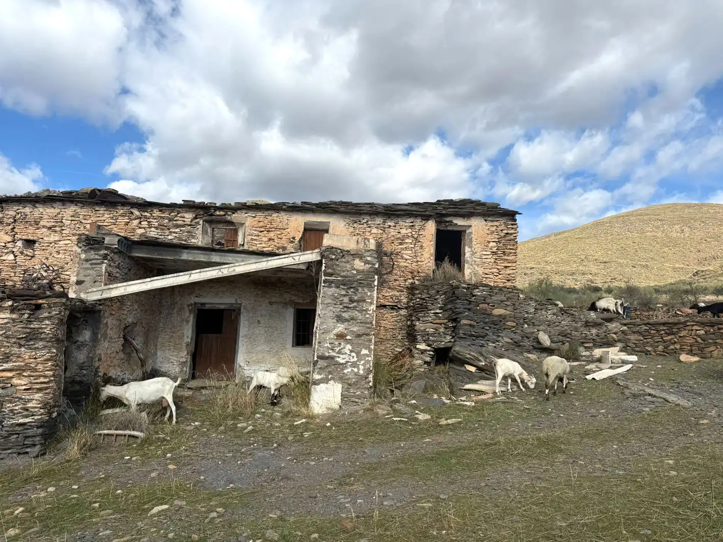 Rural land for sale in Senés, imagen 7