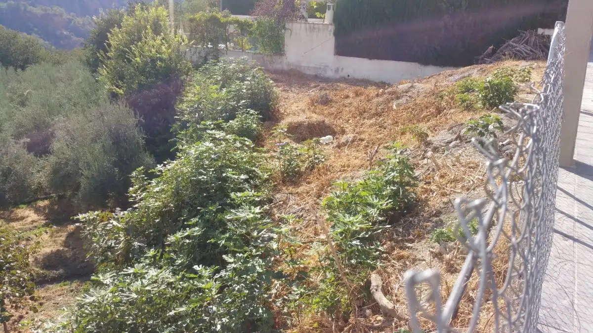 Terreni e lotti in vendita a Calle Los huertos, imagen 27